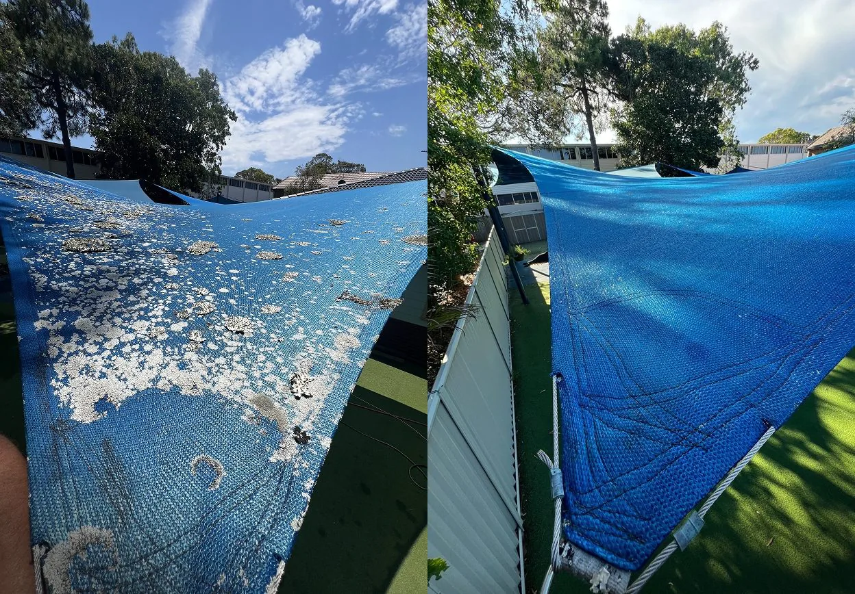 Soft Washing in Byron Bay